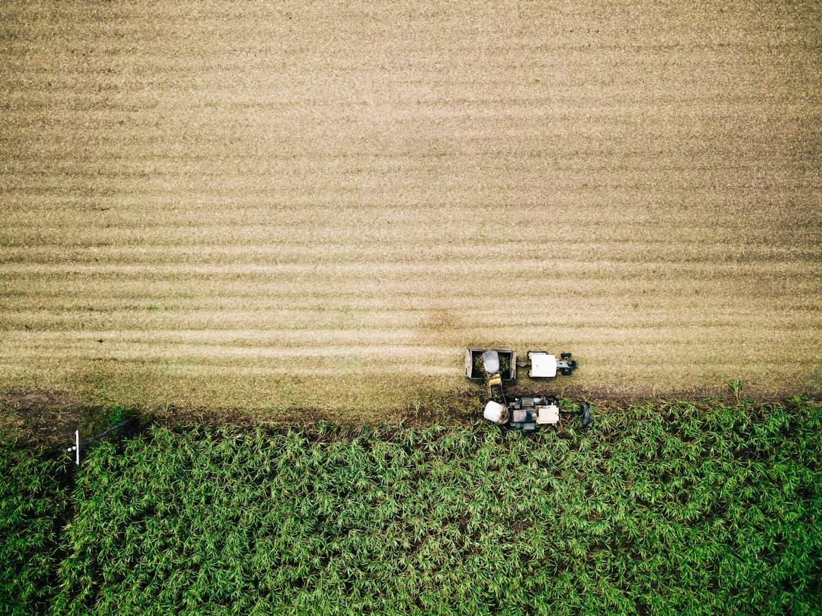 Top-down aerial of a field during harvest operations